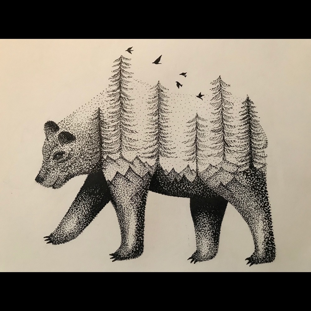 Bear Drawing